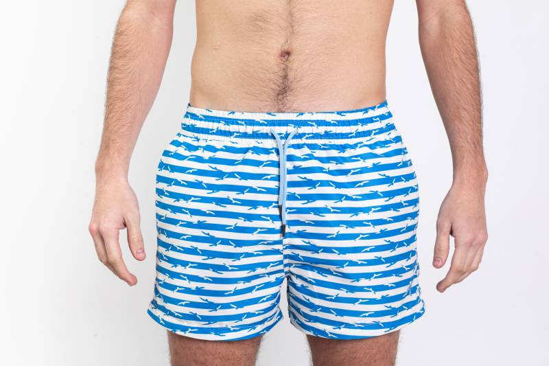 SHORT DE BA?O PALMERA BLANCO/CELESTE RAY